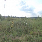 Продам участок земли для дачного строительства 10 гектар в Дмитровском районе 33 км. от МКАД ID: 1457