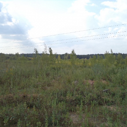 Земельный участок под коттеджный поселок, 47 Га, 33 км от МКАД, север Подмосковья. Продажа.