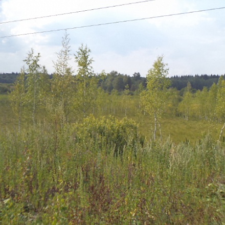 Продается 30 гектар земли для дачного строительства в Дмитровском районе 33 км. от МКАД