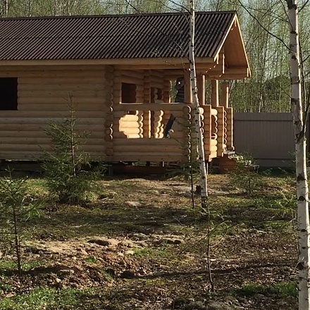 Продается лесной 10-ти соточный участок с баней. Дмитровское ш. д.Андрейково 40 км от МКАД