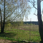 Продам участок 18 гектар для сельскохозяйственного производства 20 км. от МКАД на Рогачевском шоссе ID: 1461