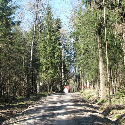 Продается участок в лесу Ленинградское шоссе 15км. от МКАД
