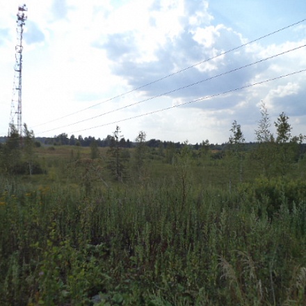 Продается 30 гектар земли для дачного строительства в Дмитровском районе 33 км. от МКАД