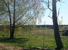 Продам 20 гектар земли для сельскохозяйственного производства 20 км. от МКАД на Рогачевском шоссе