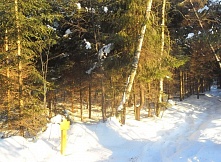 Продается лесной участок ИЖС без подряда с коммуникациями в д Рыбаки, 23 км, озеро Долгое 
