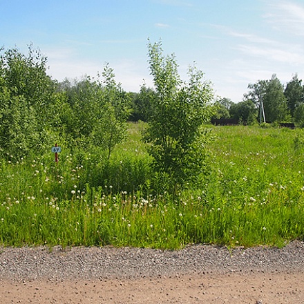 Продается лесной  участок 9 соток, в охраняемом поселке, Дмитровское шоссе, 40 км. от МКАД