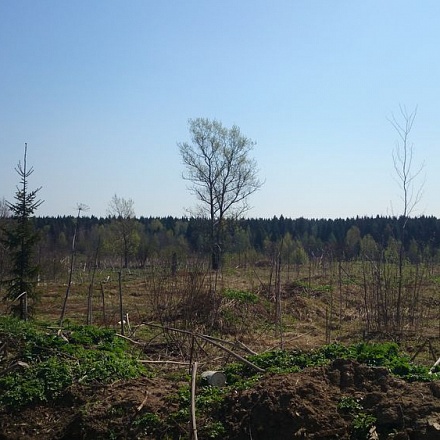 Продается 38 гектар земли для сельскохозяйственного производства на Рогачевском шоссе 20 км от МКАД