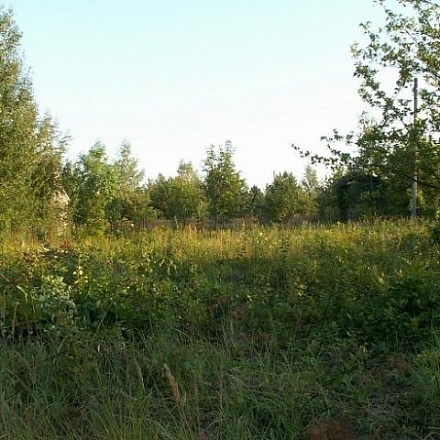 Продам участок сельхозназначения, 12 сот, с.Озерецкое, 24 км от МКАД