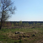 Продается 38 гектар земли для сельскохозяйственного производства на Рогачевском шоссе 20 км от МКАД ID: 1431