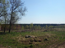 Продается 38 гектар земли для сельскохозяйственного производства на Рогачевском шоссе 20 км от МКАД