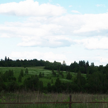 Продается земля сельхозназначения 44 га. Рогачевское ш. 35 км.