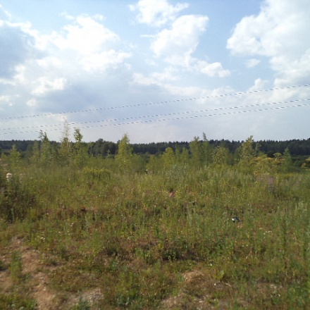Продаю 20 гектар земли для дачного строительства 33 км. от МКАД на Рогачевском шоссе