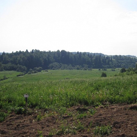 Продается участок 41 Га для крестьянско-фермерского хозяйства, Рогачевское шоссе 70 км. от МКАД