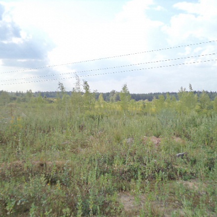 Продам участок земли для дачного строительства 10 гектар в Дмитровском районе 33 км. от МКАД