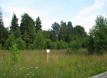 Продается участок 21,51 сотка в Дмитровском районе, в непосредственной близости леса и водоема.