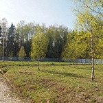 Продается участок  12 соток в охраняемом поселке по Дмитровскому шоссе 40 км. от МКАД ID: 1879