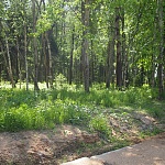 Продается лесной  участок 11 соток, в охраняемом поселке, Дмитровское шоссе, 40 км. от МКАД ID: 2920