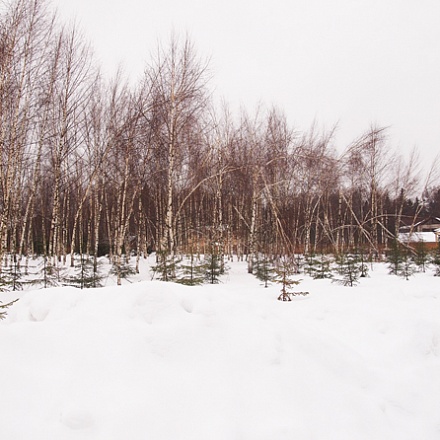 Продается лесной участок 12 соток с коммуникациями, Дмитровское ш. 42 км. от МКАД