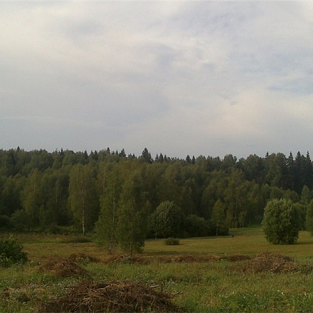 Продается живописный участок 1,7 гектара в деревне Овсянниково, Дмитровского района, Московской области, ИЖС.