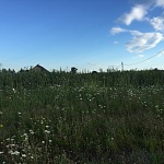 Продается участок 25 соток, в 54 км. от МКАД по Дмитровскому району ID: 3198