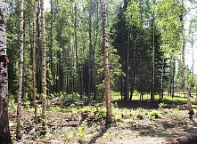 Продается лесной  участок 9 соток, в охраняемом поселке, Дмитровское шоссе, 40 км. от МКАД