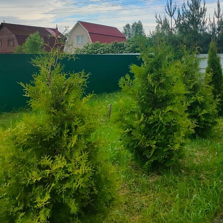 Продам дом 60 км.м.