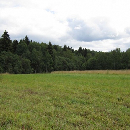 Продается земля сельхозназначения 44 га. Рогачевское ш. 35 км.