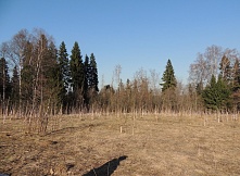 Участок 13 соток у леса на Рогачевском шоссе д.Удино