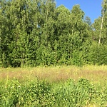 Продается великолепный лесной участок 14 соток, в 44 км. от Москвы по Дмитровскому шоссе ID: 3201
