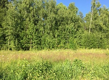 Продается великолепный лесной участок 14 соток, в 44 км. от Москвы по Дмитровскому шоссе